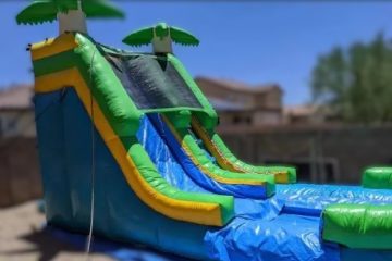 Palm Tree Waterslide